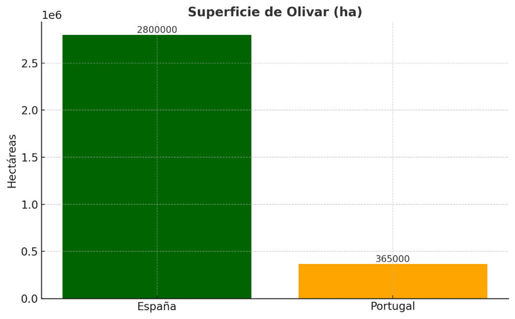 La Península Ibérica Liderazgo Global en el Sector Oleícola 1