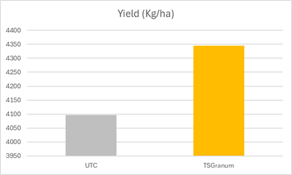 Hungary Soybean Results