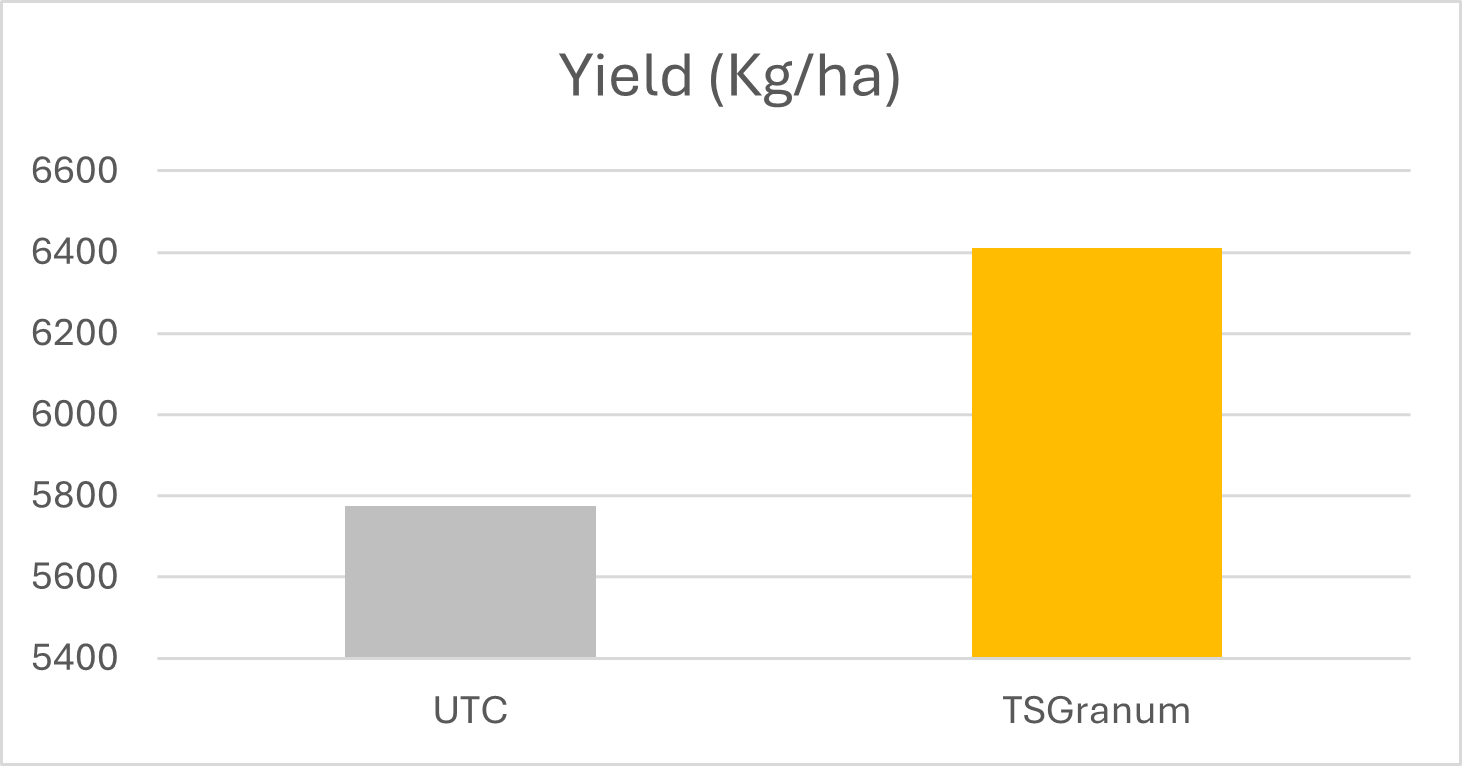 Hungary Sunflower Results