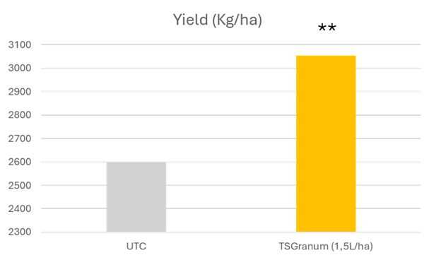 Romania OSR Results