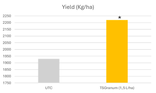 Romania Soybean Results