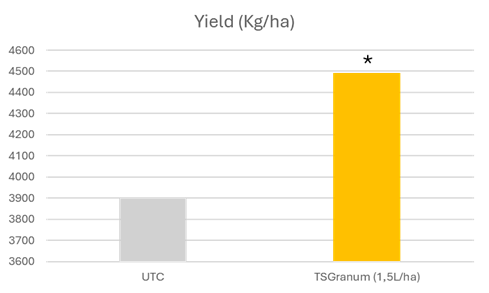 Romania Wheat Results