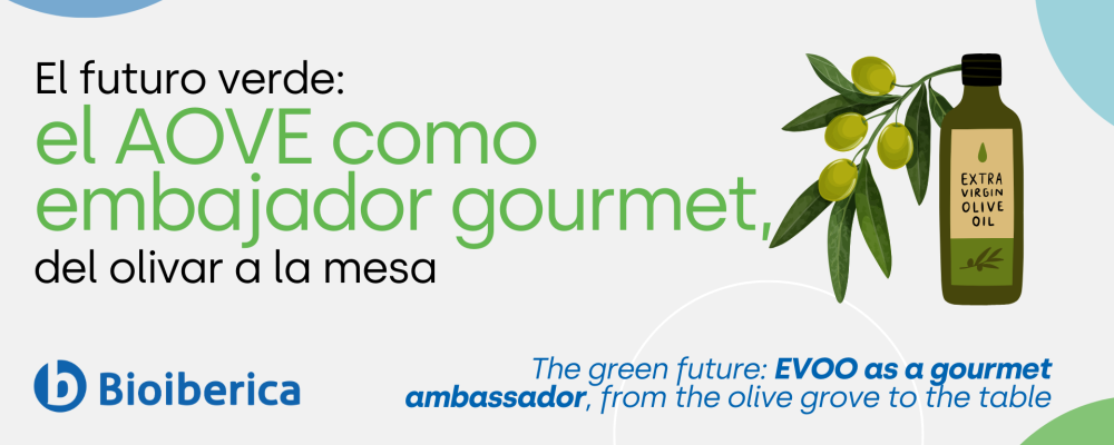 The green future: EVOO as a gourmet ambassador, from the olive grove to the table