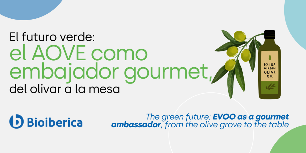 The green future: EVOO as a gourmet ambassador, from the olive grove to the table