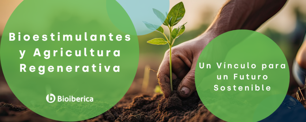 Bioestimulantes y Agricultura Regenerativa: Un Vínculo para un Futuro Sostenible