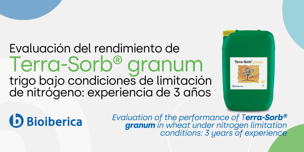 Evaluation of the performance of Terra-Sorb® granum in wheat under nitrogen limitation conditions: 3 years of experience