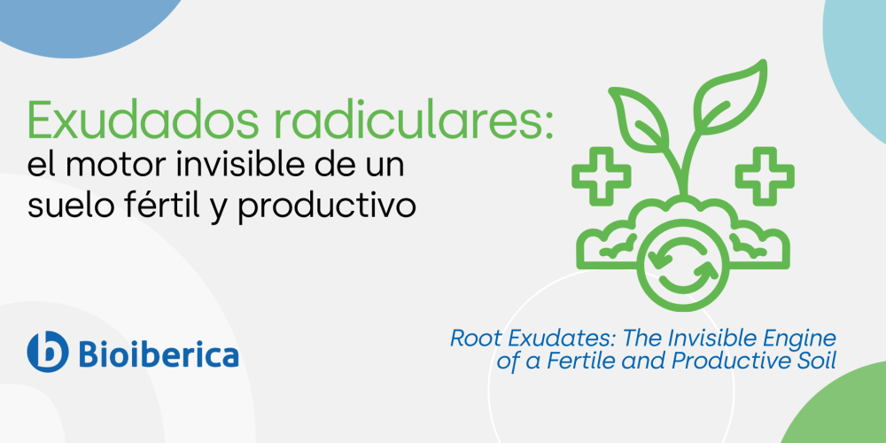 Root Exudates: The Invisible Engine of a Fertile and Productive Soil Root Exudates: The Invisible Engine of a Fertile and Productive Soil
