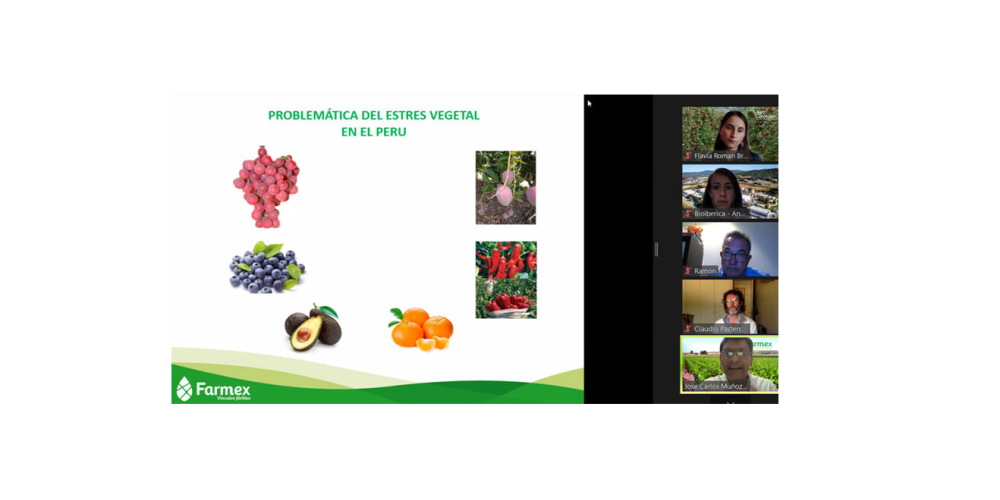 Webinar: Gestión del estrés vegetal y el papel de los bioestimulantes en base a L-α-aminoácidos para modular el impacto y recuperación en los principales cultivos