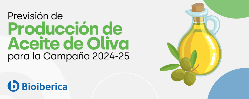 Olive Oil Production Forecast for the 2024/25 Campaign