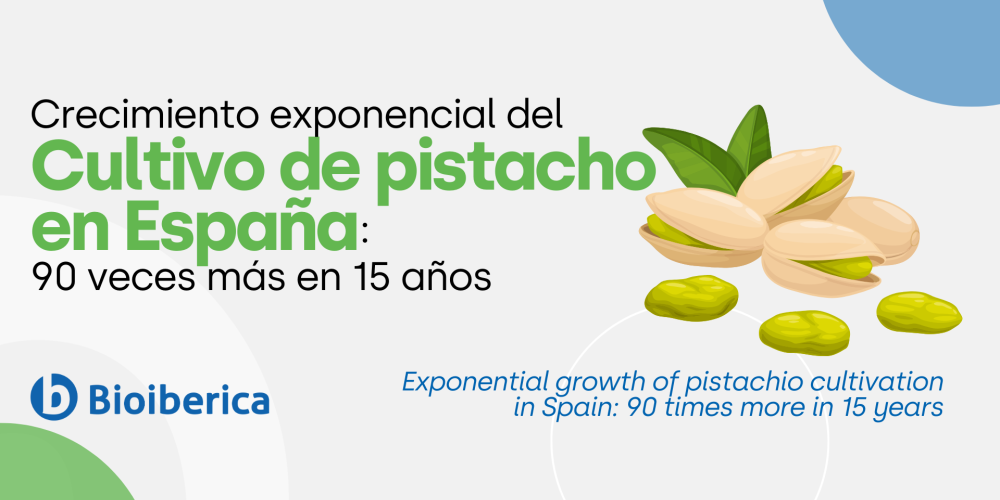 Crecimiento exponencial del cultivo de pistacho en España:  90 veces más en 15 años