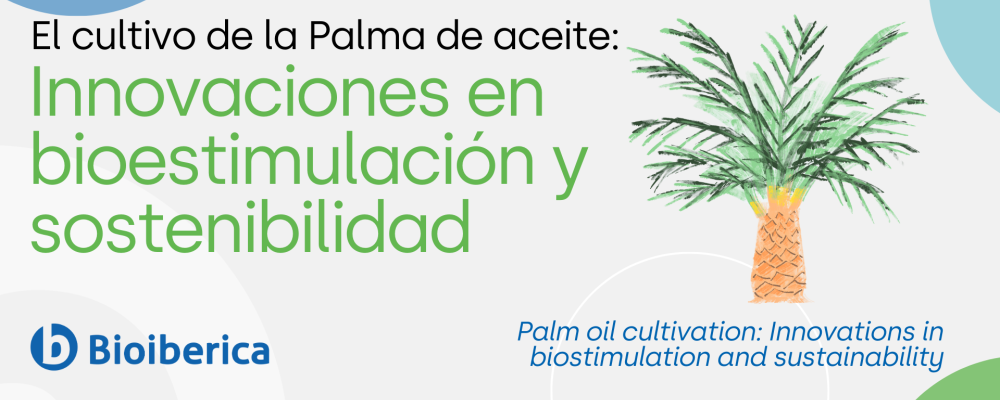 Oil palm cultivation: Innovations in biostimulation and sustainability