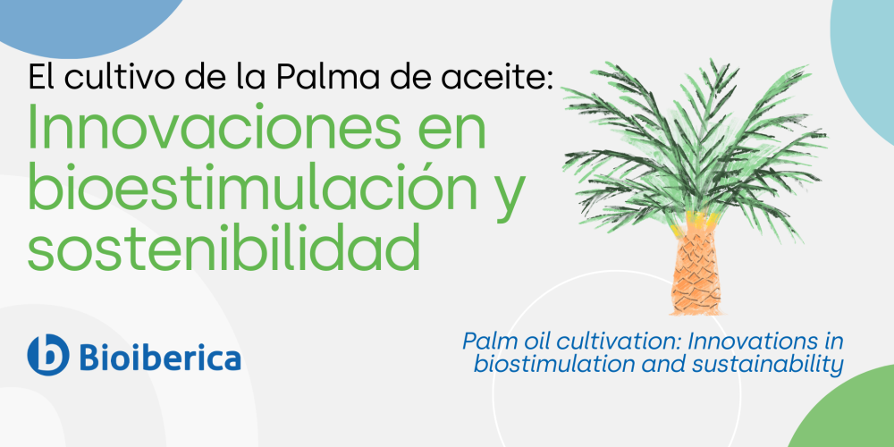 El cultivo de la Palma de aceite: Innovaciones en bioestimulación y sostenibilidad