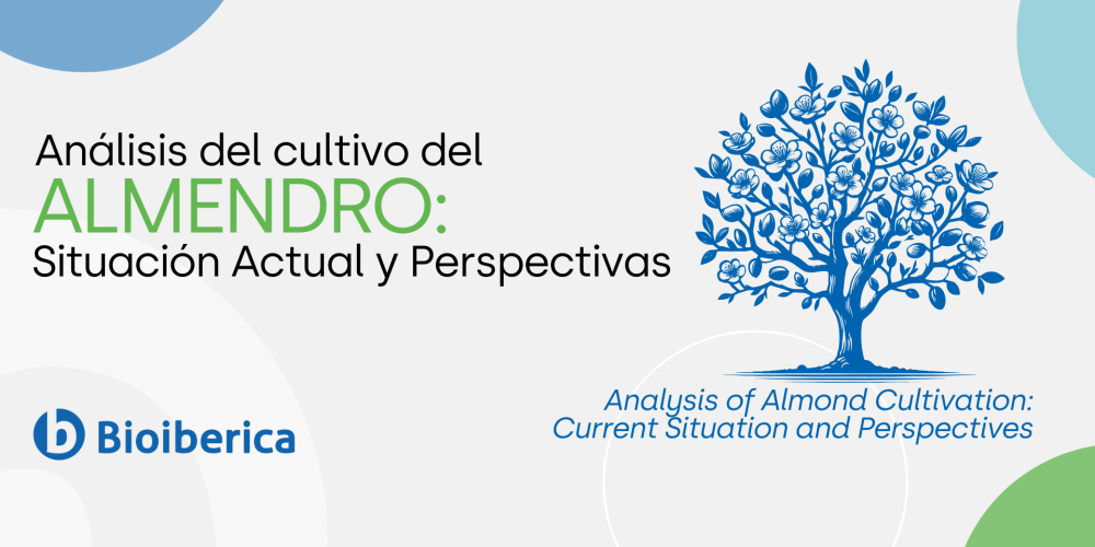 Análisis del Cultivo de Almendro: Situación Actual y Perspectivas