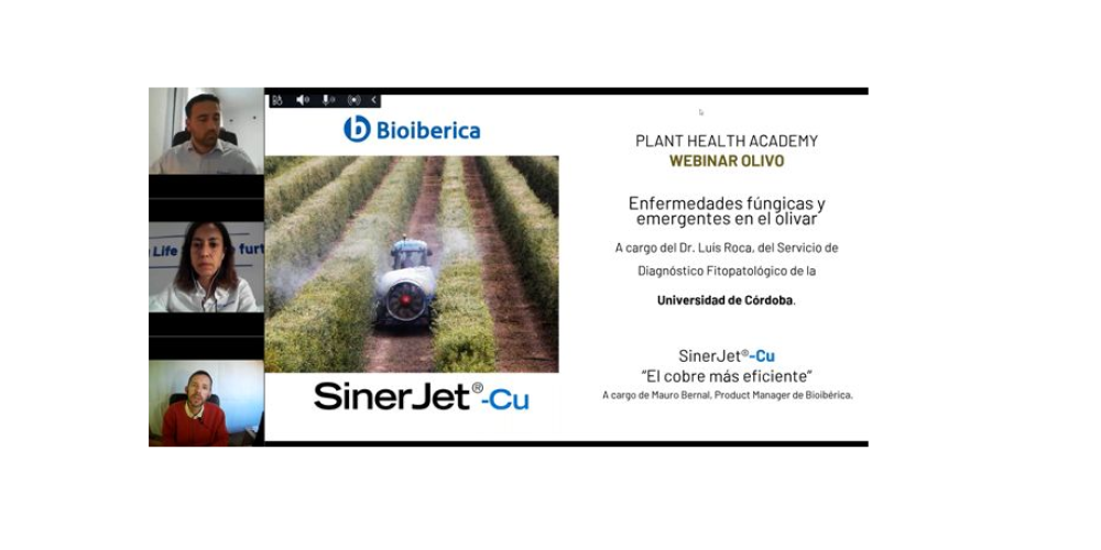 Plant Health Academy: Enfermedades fúngicas y emergentes en el olivar