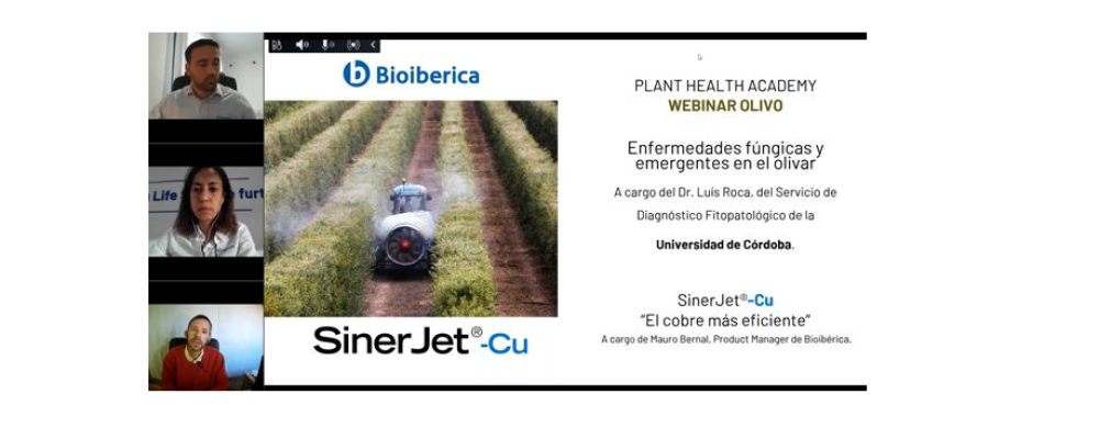 Plant Health Academy: Enfermedades fúngicas y emergentes en el olivar