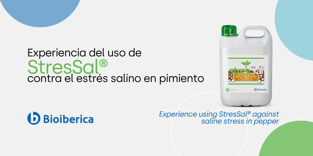 Improving Pepper Performance Under Salinity Stress With StresSal®
