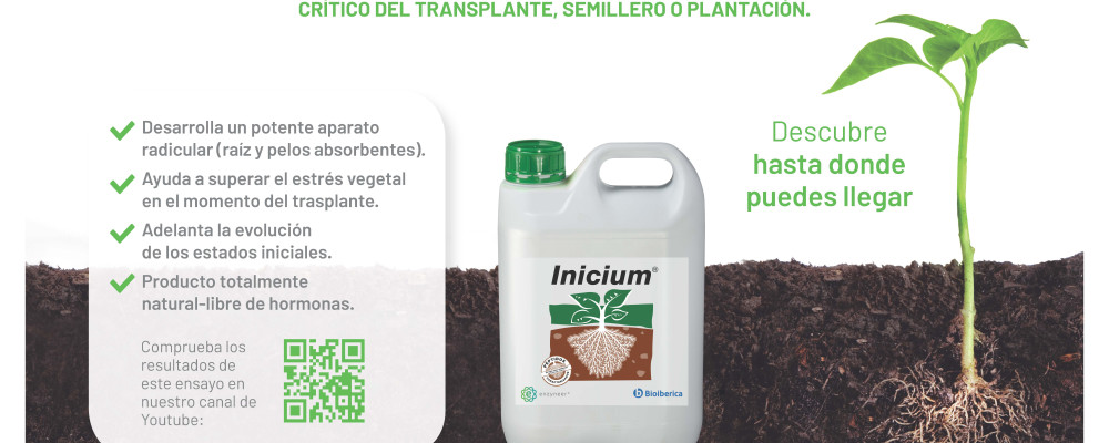 Ensayo demostrativo de las propiedades del biostimulante peptídico Inicium® 