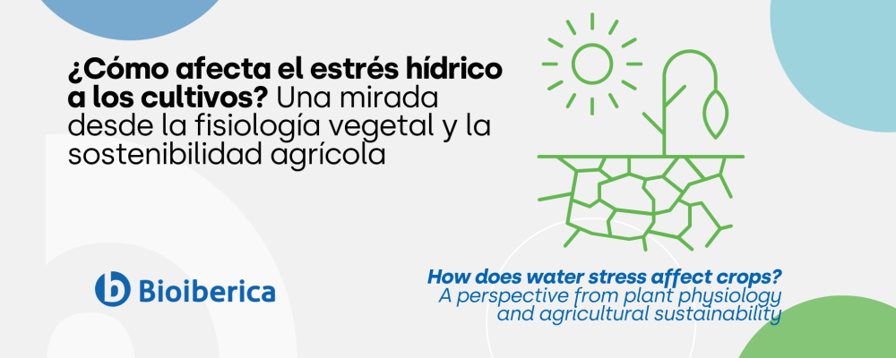 How does water stress affect crops? A perspective from plant physiology and agricultural sustainability