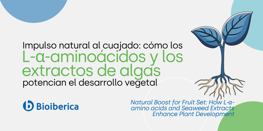 Impulso natural al cuajado: cómo los L-α-aminoácidos y los extractos de algas potencian el desarrollo vegetal Impulso natural al cuajado: cómo los L-α-aminoácidos y los extractos de algas potencian el desarrollo vegetal