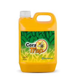 Cera Trap, solución estres vegetal para frutales de hueso y pepita